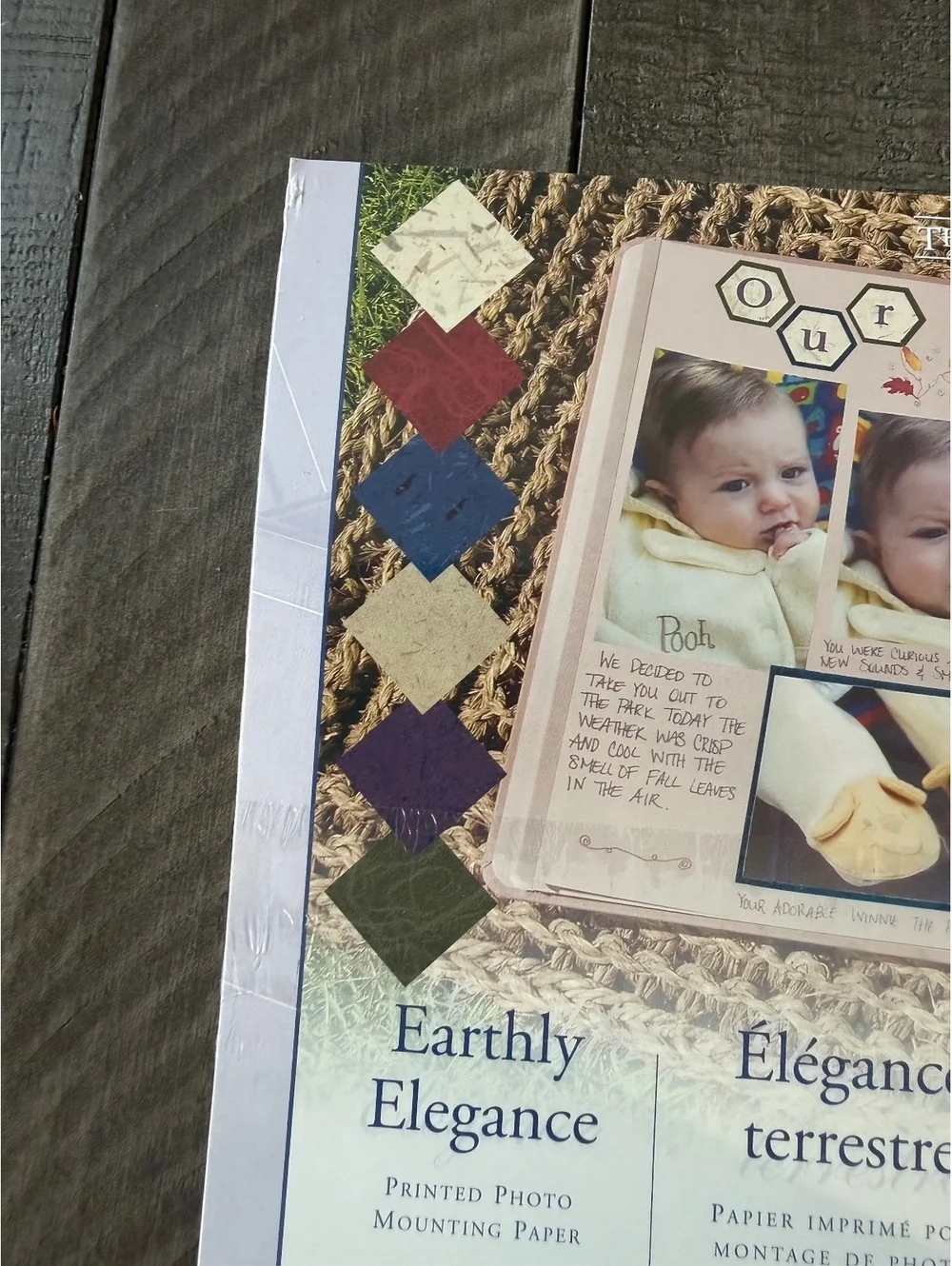 Creative Memories Earthly Elegance Printed Photo Mounting Paper from 2004